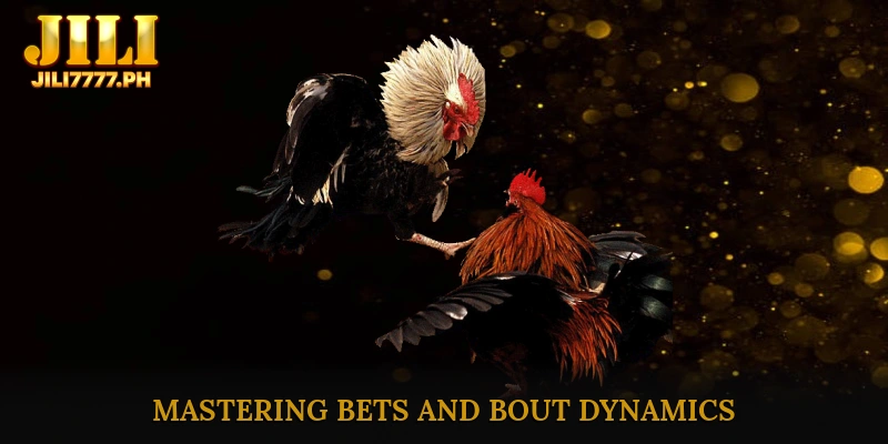 Tackling the Tactics: Mastering Bets and Bout Dynamics