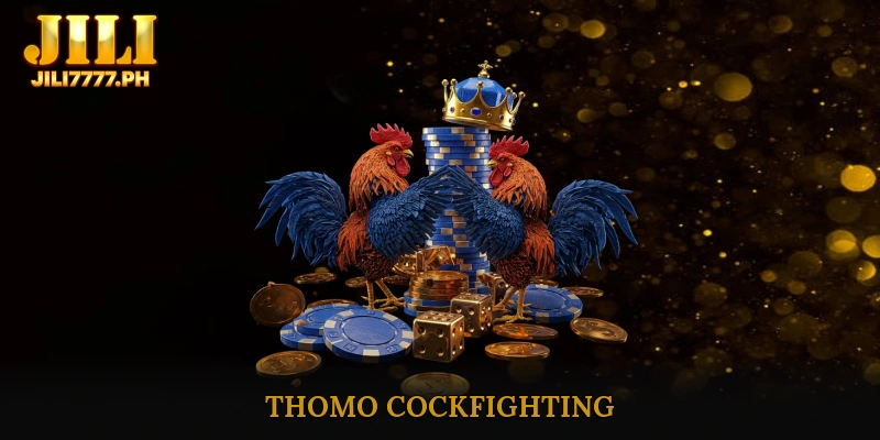 Thomo cockfighting